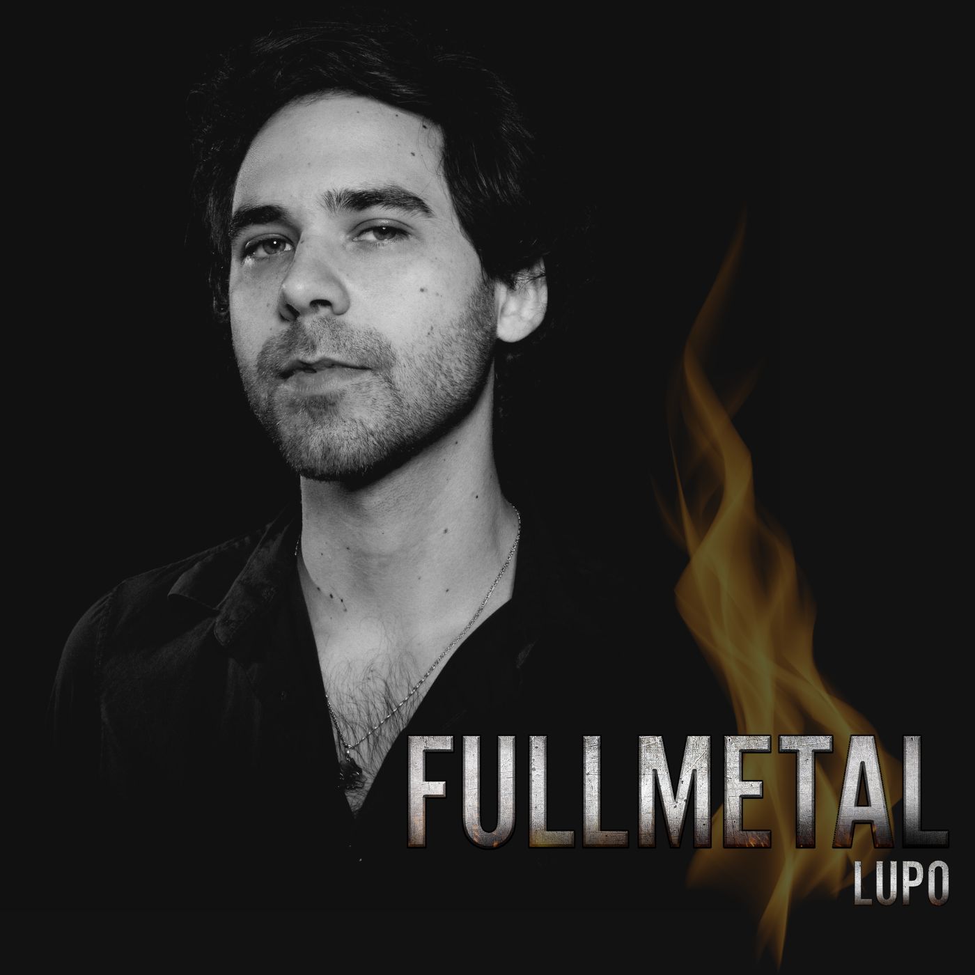 Fullmetal cover art